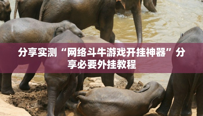 分享实测“网络斗牛游戏开挂神器”分享必要外挂教程 分享实测“网络斗牛游戏开挂神器”分享必要外挂教程